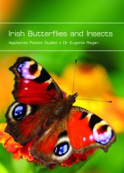Irish Butterflies and Insects