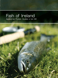 Fish of Ireland
